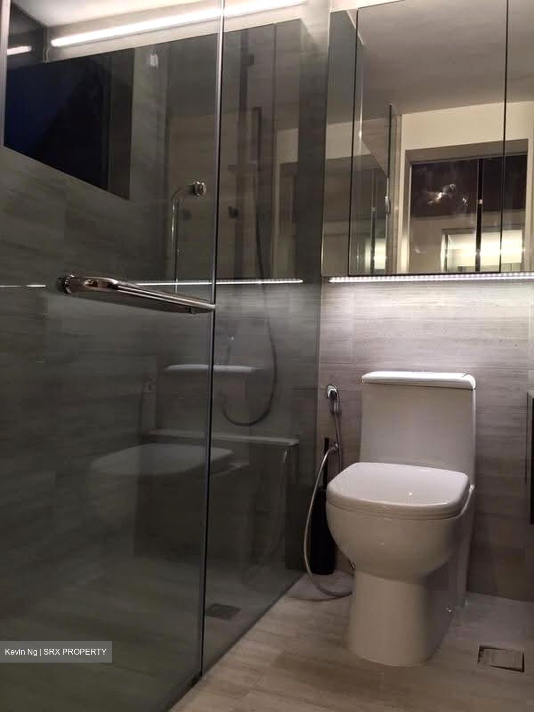 Holland Road (D10), Condominium #634103441